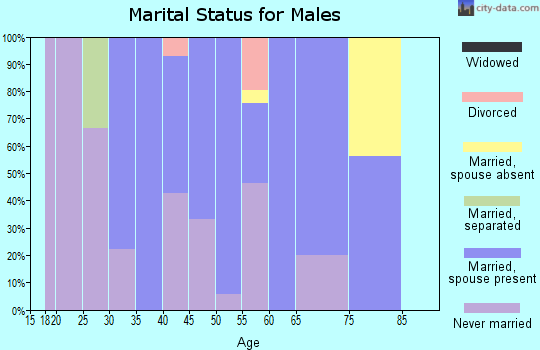 Zip code 58651 marital status for males