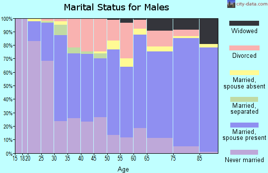 Zip code 58701 marital status for males