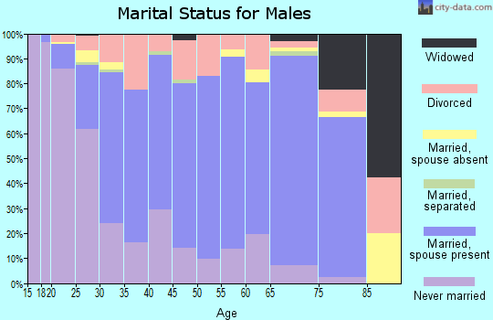 Zip code 58703 marital status for males