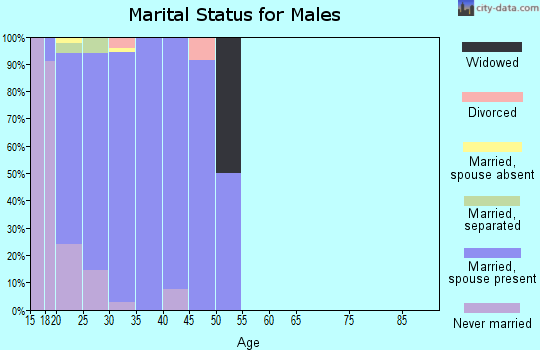 Zip code 58704 marital status for males