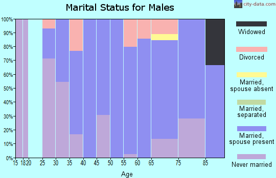 Zip code 58710 marital status for males