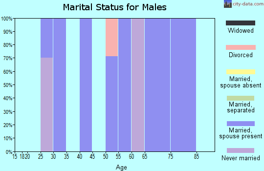 Zip code 58716 marital status for males