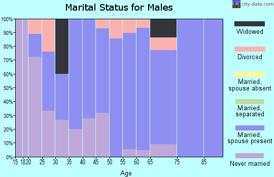 Zip code 58740 marital status for males