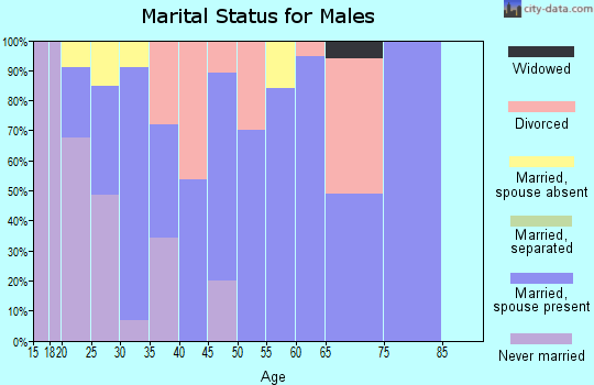 Zip code 58785 marital status for males
