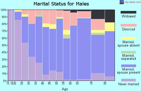 Zip code 58801 marital status for males