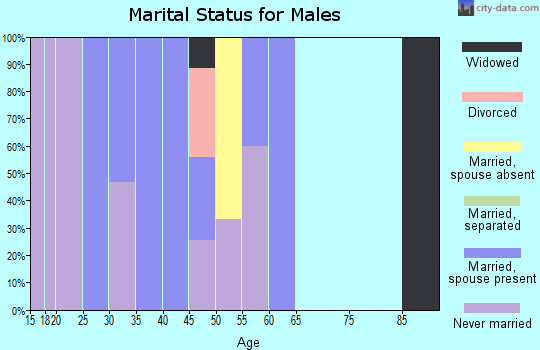 Zip code 58838 marital status for males