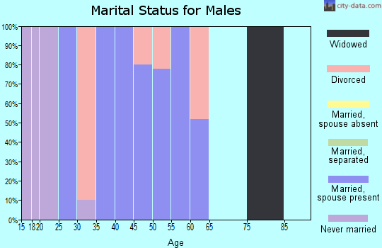 Zip code 58853 marital status for males