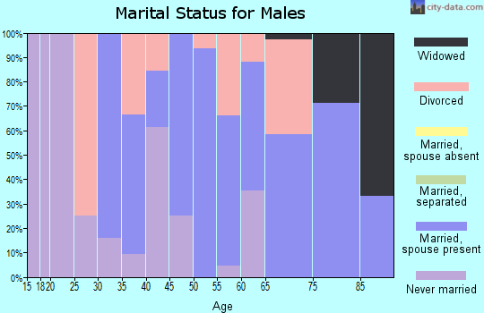 Zip code 59029 marital status for males
