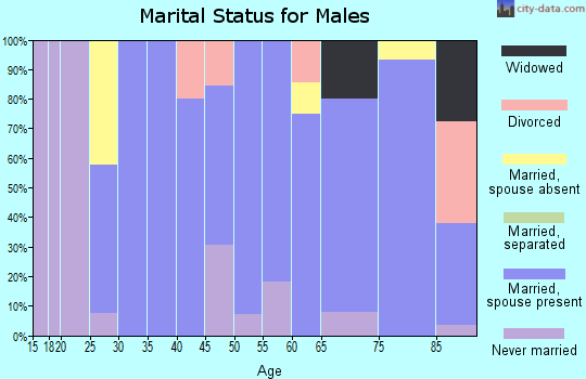 Zip code 59038 marital status for males