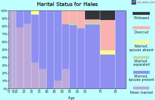 Zip code 59041 marital status for males