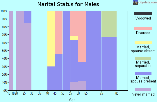 Zip code 59061 marital status for males