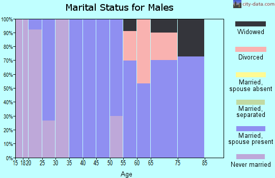 Zip code 59069 marital status for males