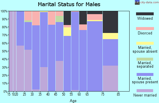 Zip code 59313 marital status for males
