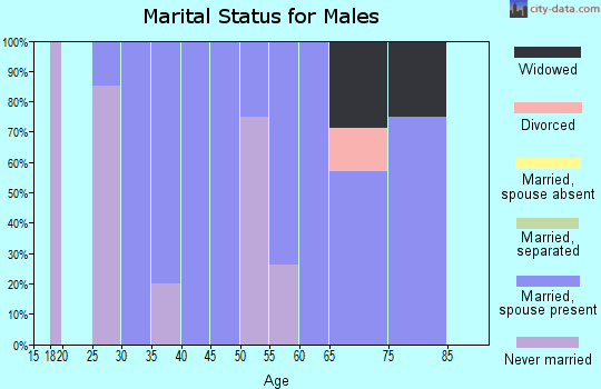 Zip code 59336 marital status for males