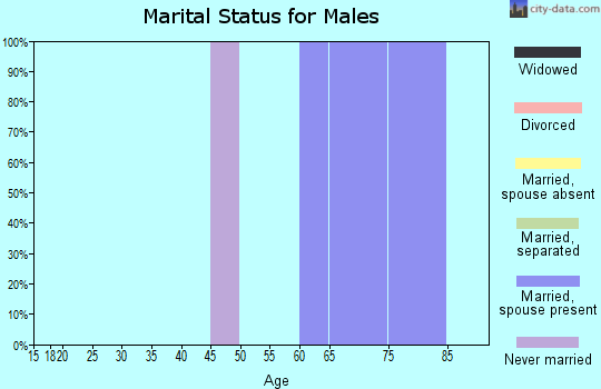 Zip code 59343 marital status for males