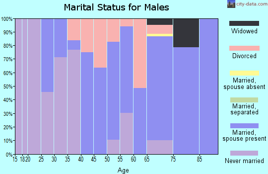 Zip code 59433 marital status for males