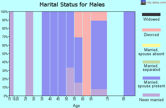 Zip code 59447 marital status for males