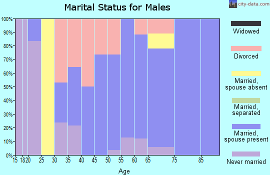 Zip code 59450 marital status for males