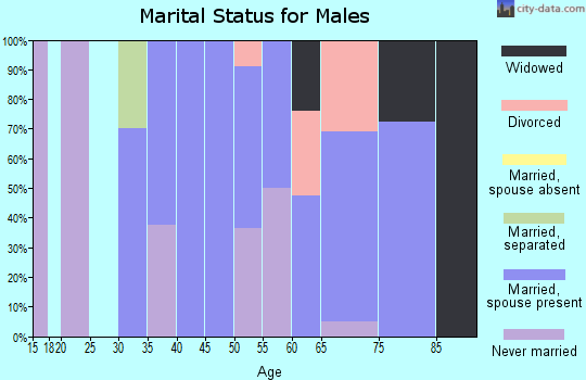 Zip code 59452 marital status for males
