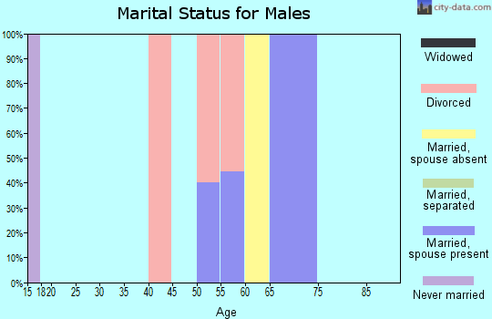 Zip code 59463 marital status for males