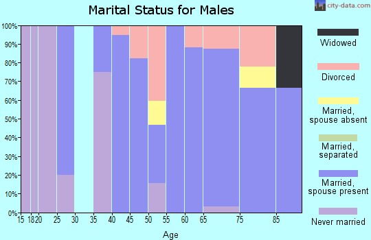 Zip code 59464 marital status for males