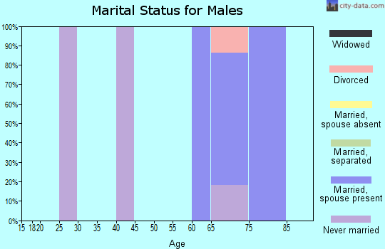 Zip code 59465 marital status for males