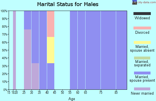 Zip code 59467 marital status for males