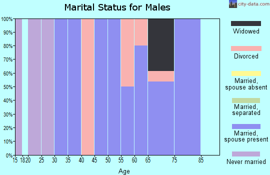 Zip code 59469 marital status for males