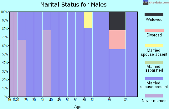 Zip code 59471 marital status for males