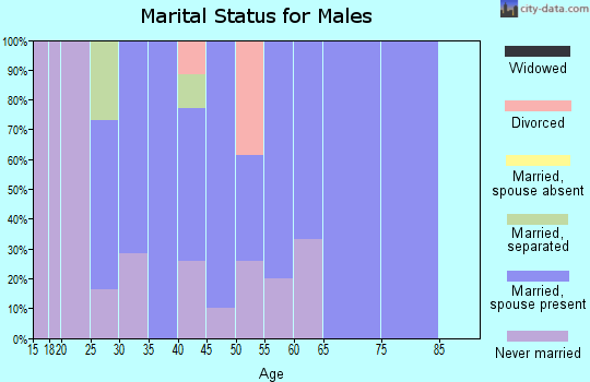Zip code 59472 marital status for males