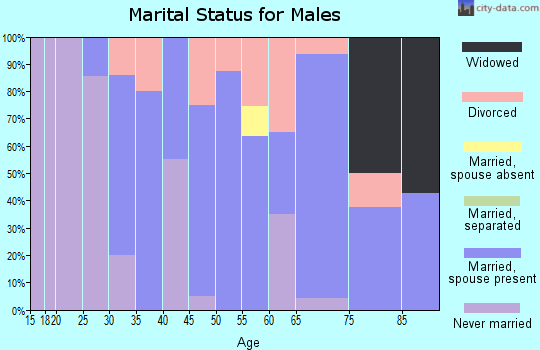 Zip code 59479 marital status for males