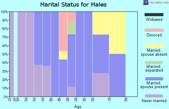 Zip code 59480 marital status for males