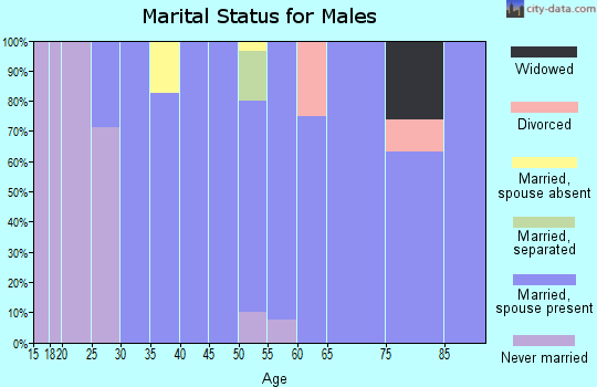 Zip code 59482 marital status for males