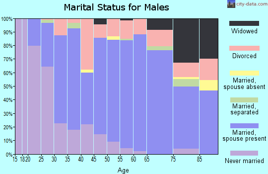 Zip code 59501 marital status for males