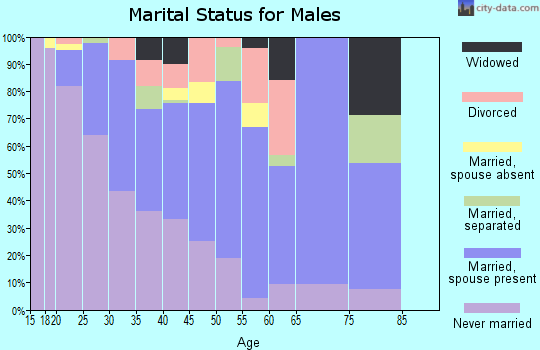 Zip code 59521 marital status for males