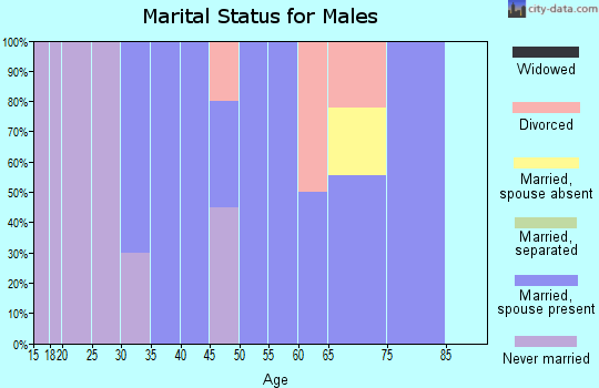 Zip code 59525 marital status for males