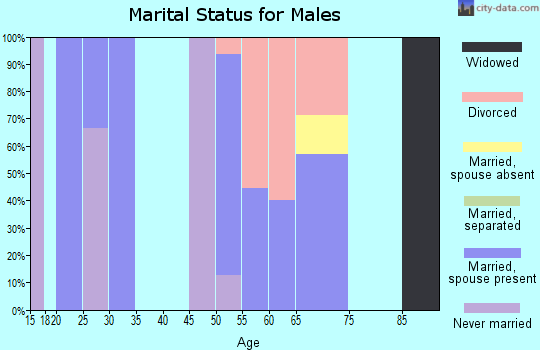 Zip code 59528 marital status for males