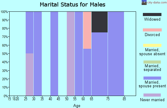 Zip code 59531 marital status for males