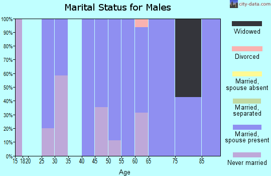 Zip code 59713 marital status for males