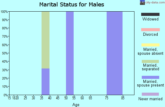 Zip code 59740 marital status for males