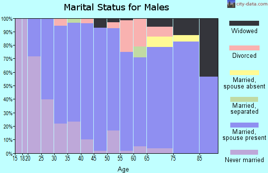 Zip code 59741 marital status for males