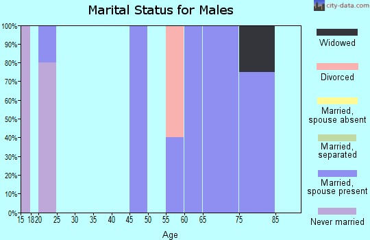 Zip code 59747 marital status for males