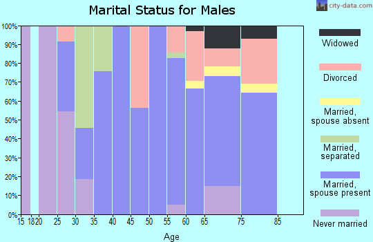 Zip code 59749 marital status for males
