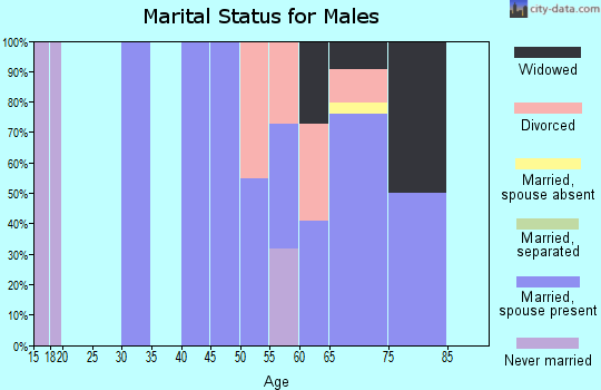 Zip code 59762 marital status for males