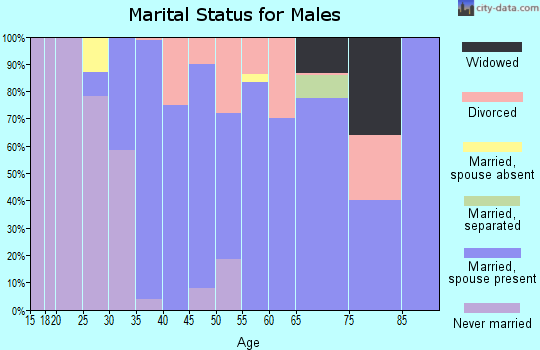 Zip code 59847 marital status for males