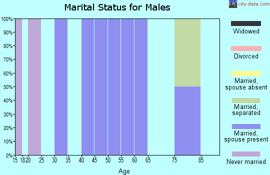 Zip code 59848 marital status for males