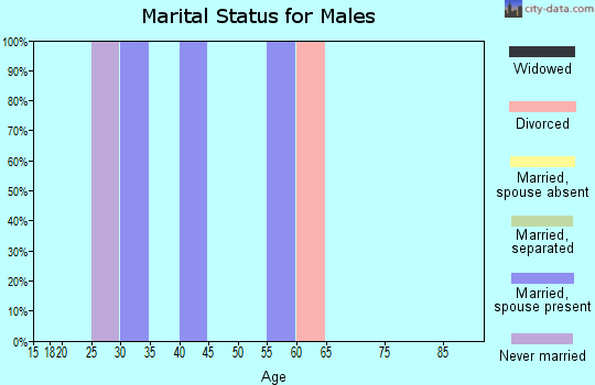 Zip code 59851 marital status for males