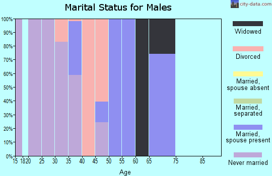 Zip code 59855 marital status for males