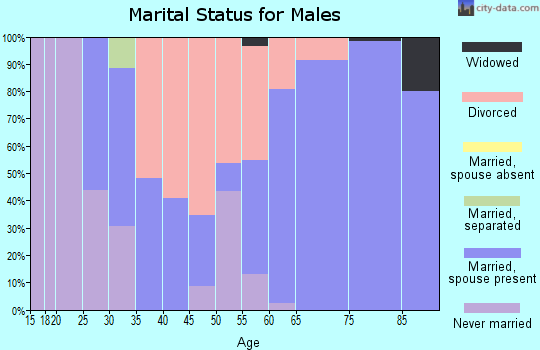Zip code 59858 marital status for males
