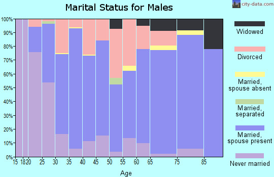 Zip code 59860 marital status for males